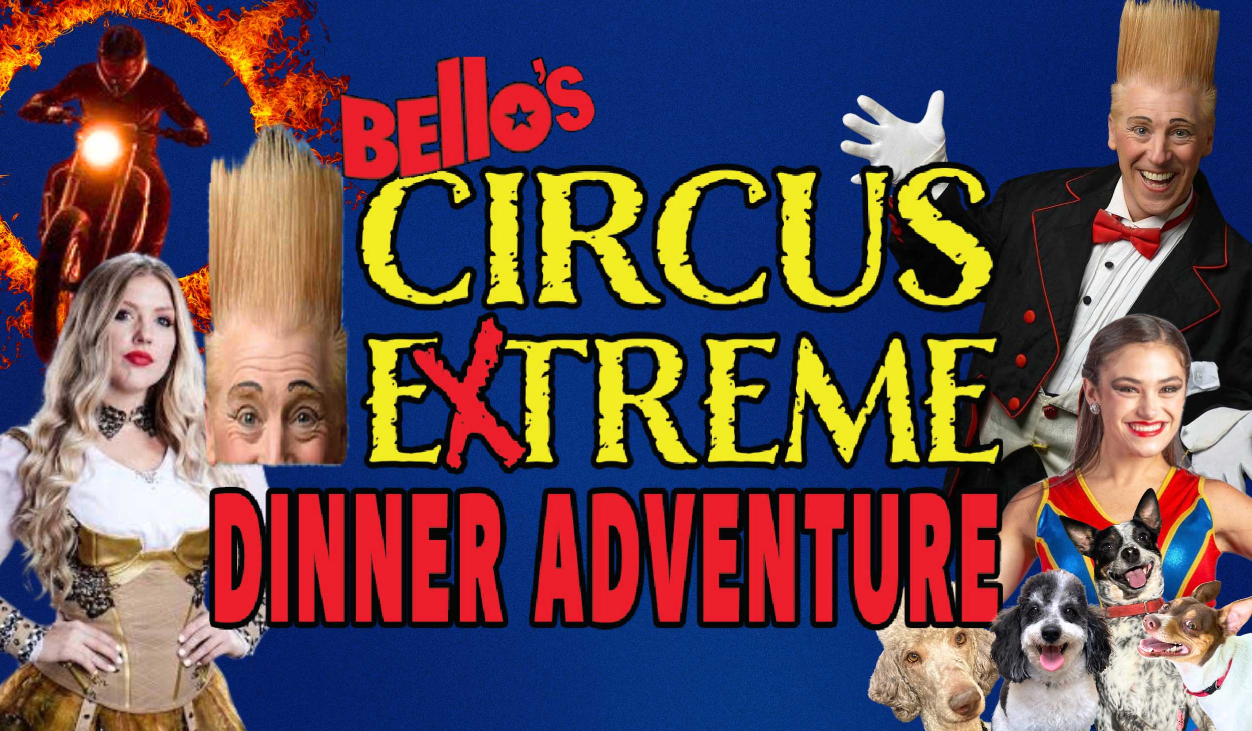 Bello's Extreme Dinner Adventure