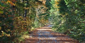 What to do in Wisconsin Dells in the Fall