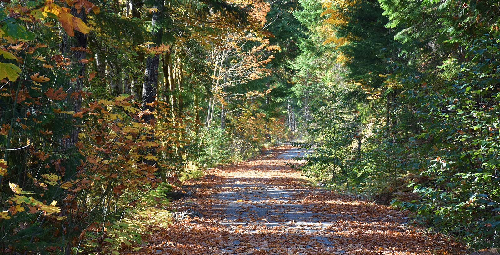 What to do in Wisconsin Dells in the Fall